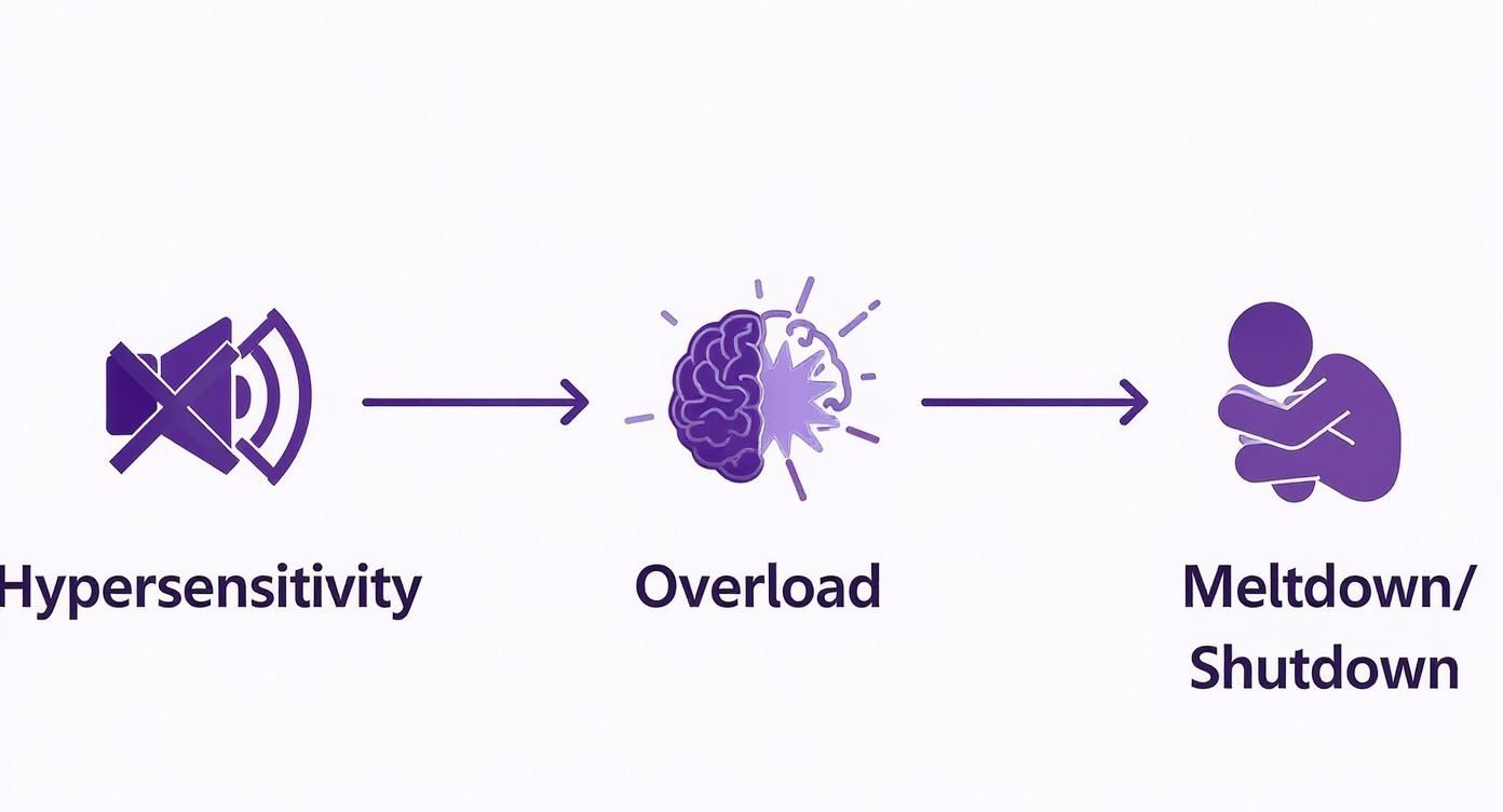 Diagrama mostrando hipersensibilidad sensorial (icono de silencio) que lleva a sobrecarga cerebral y luego a un colapso.